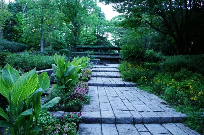 Ready to Transform Your Outdoor Space?